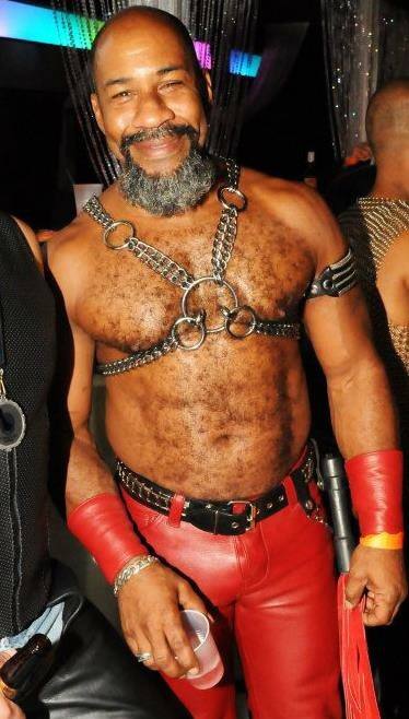 Black Bear in Leather Party Gear